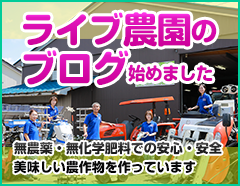 ライブ農園のブログ始めました｜福井県・石川県・富山県のみ対応の農機具買取専門店ライブ